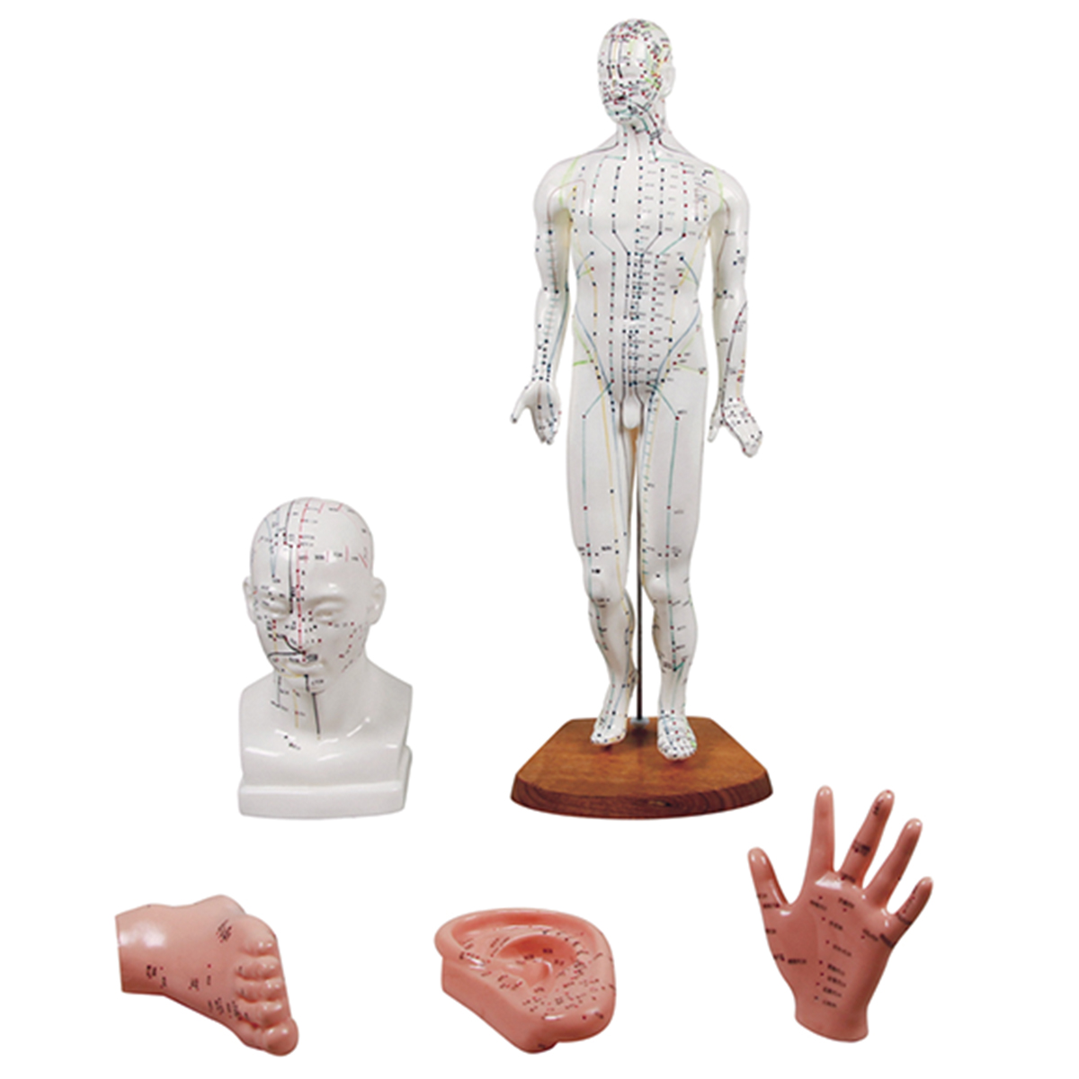 Chinesisches Akupunkturset