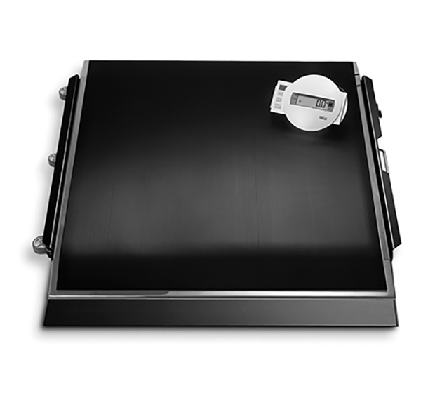 seca 675 - Elektronische Plattformwaage