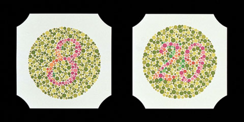 Ishihara-Tafel 14 Bilder